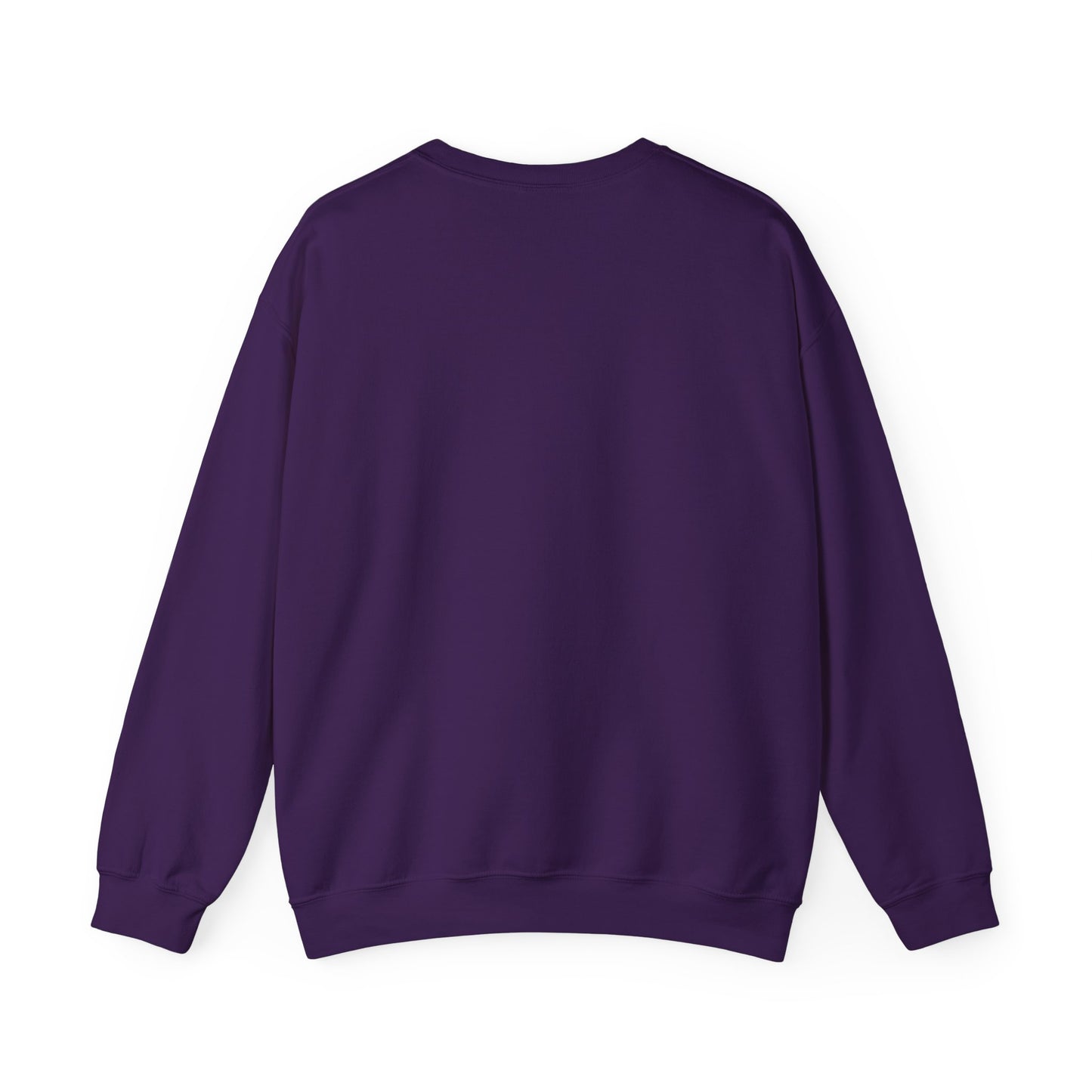 Death Rider Stray Sweatshirt
