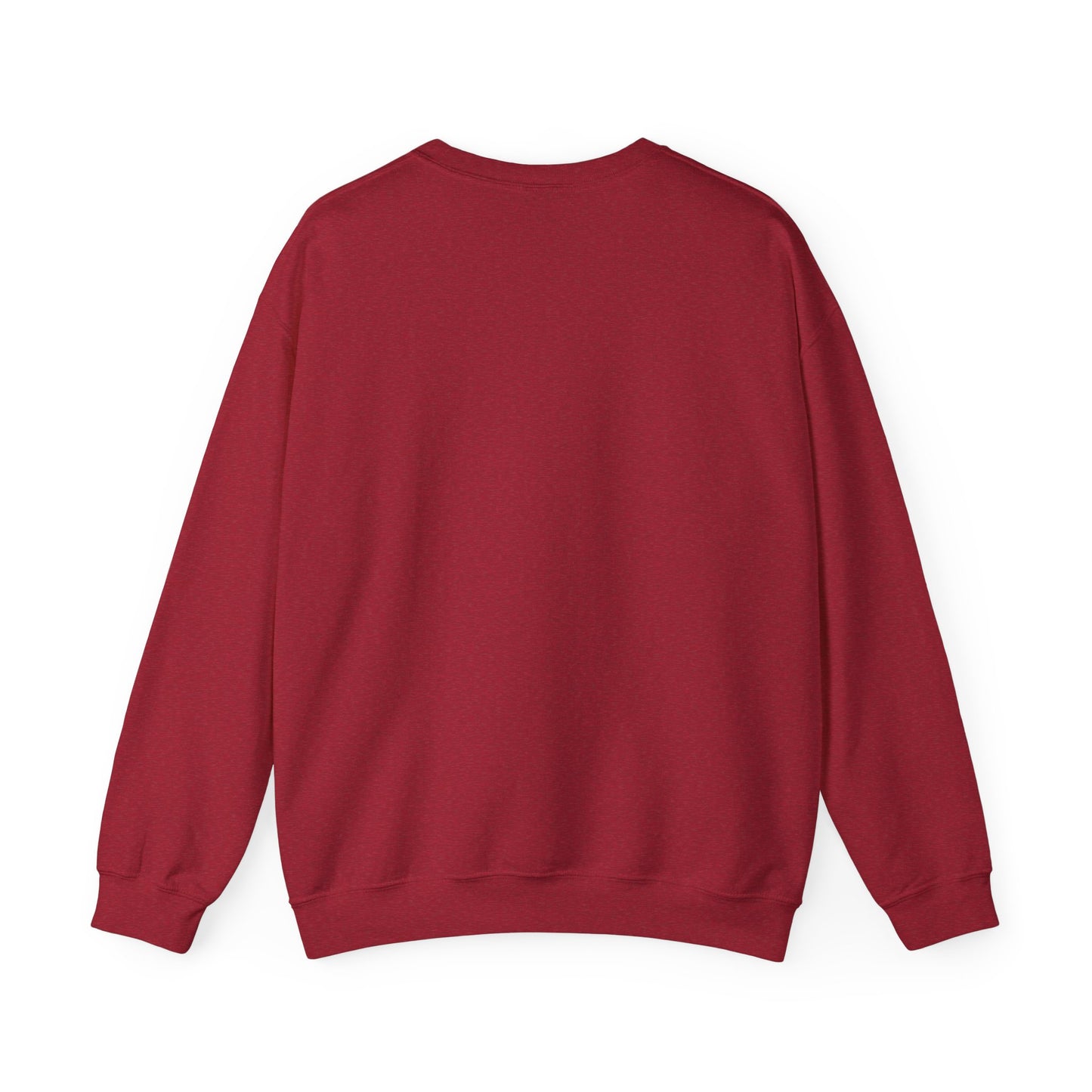 Death Rider Stray Sweatshirt