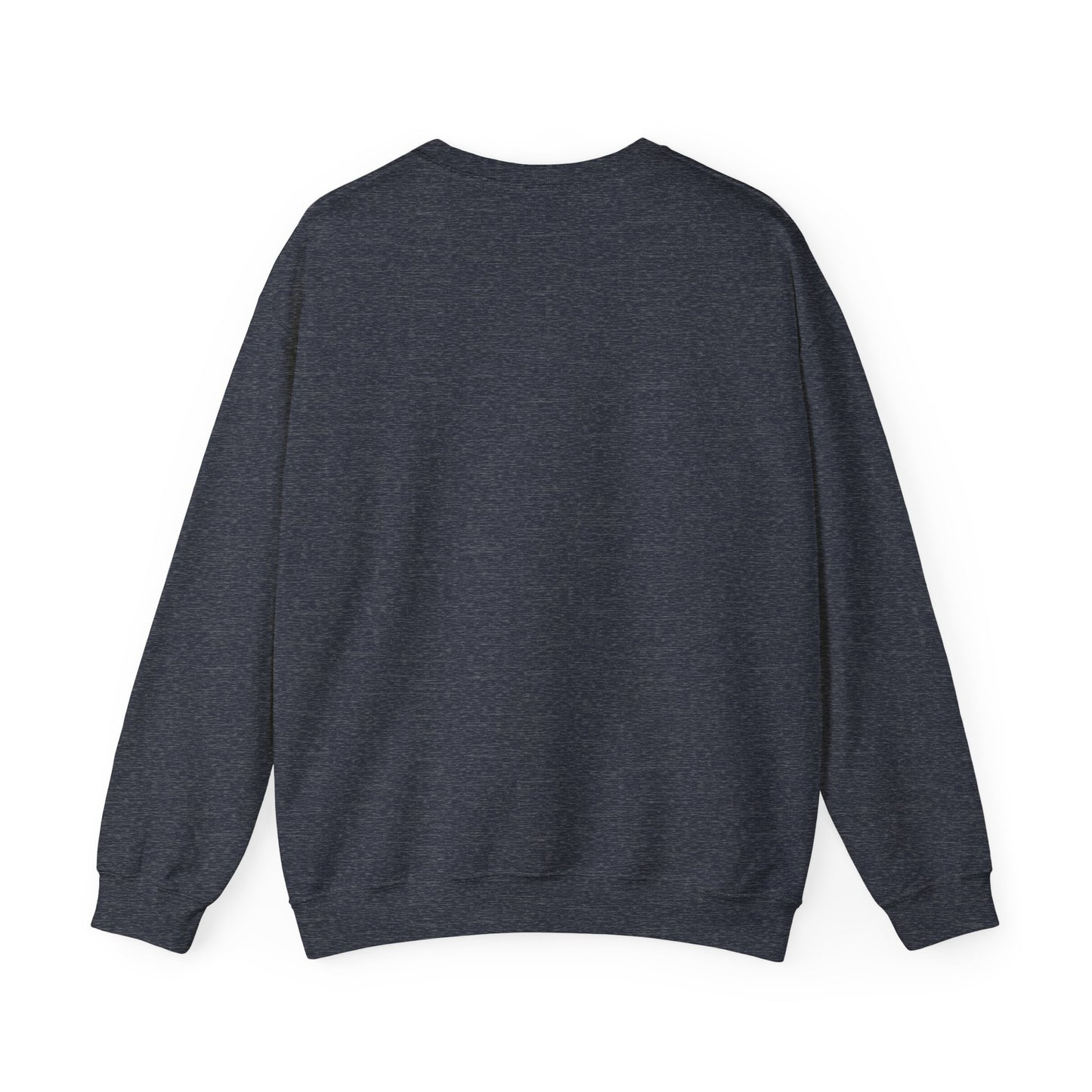 Death Rider Stray Sweatshirt