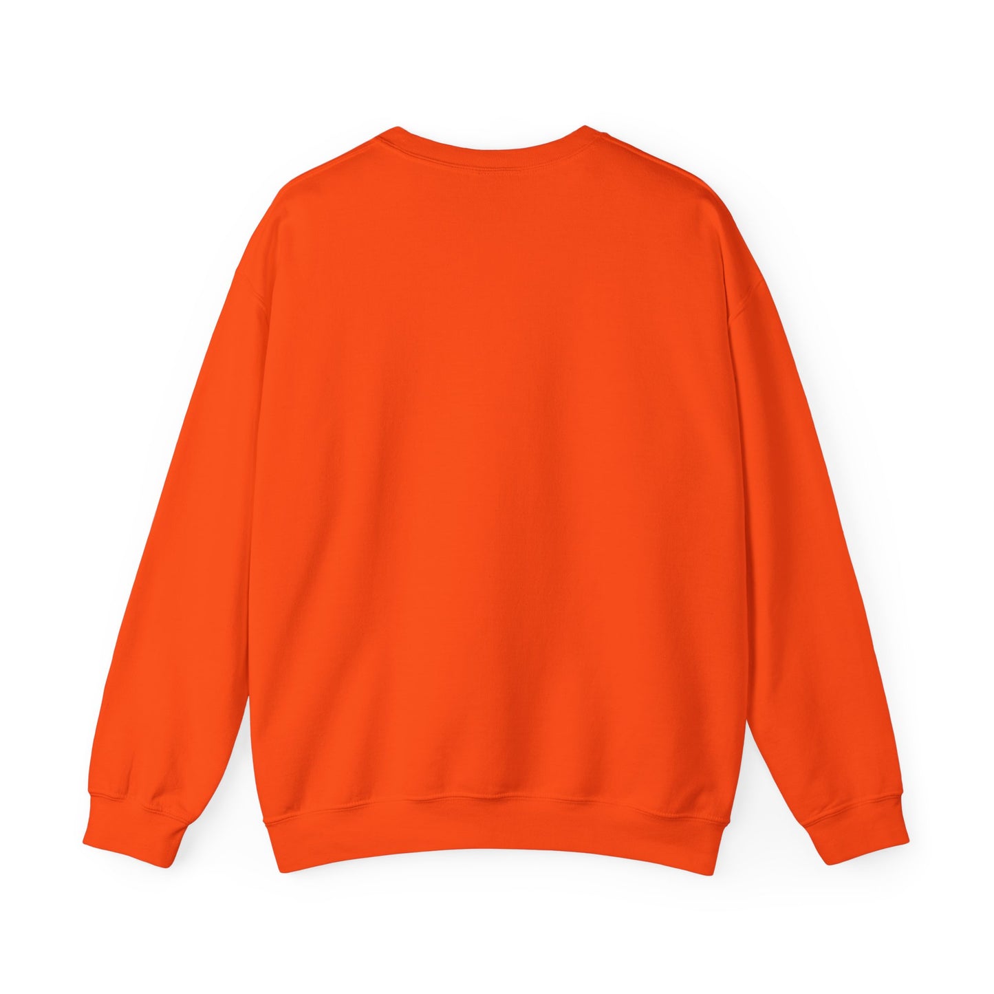 Death Rider Stray Sweatshirt