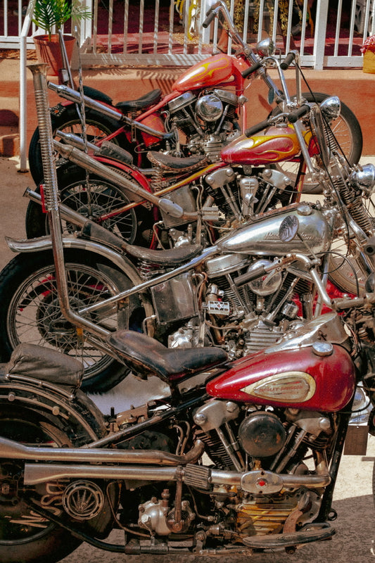 Auerbach’s passion